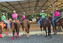 Como a equitação se tornou alternativa ao excesso de telas na infância