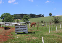 Entrega da declaração do ITR fora do prazo gera multa e juros ao contribuinte