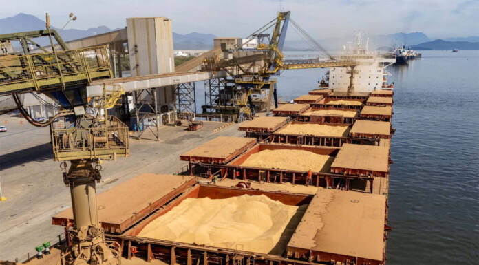 Soja responde por 21% da movimentação e lidera exportações no Paraná